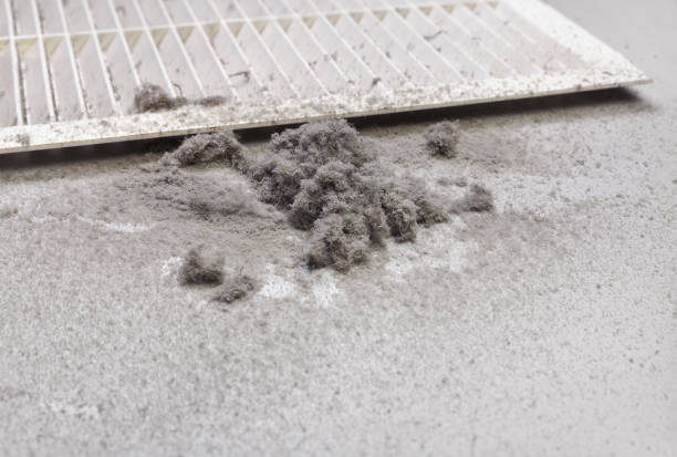 Best Local Air Duct Cleaning Services  in South Ack, NY